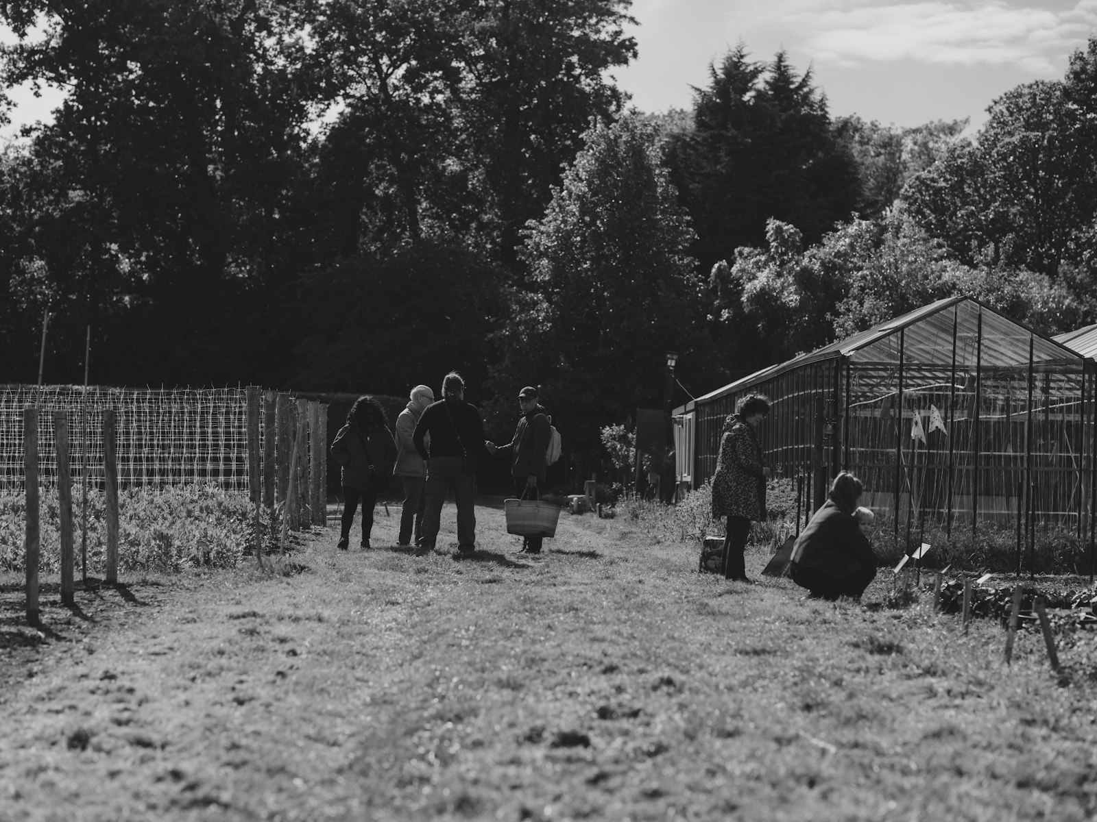 People working together in a community garden beside a greenhouse.